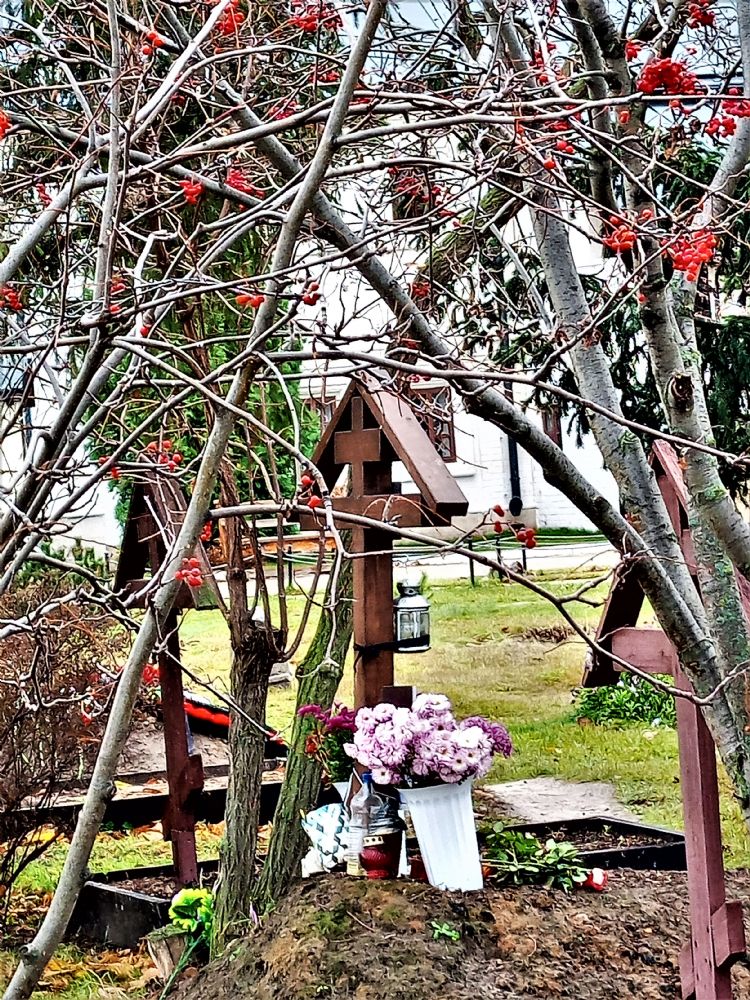 1 ноября – Димитриевская родительская суббота. Церковь чтит память пророка Иоиля.